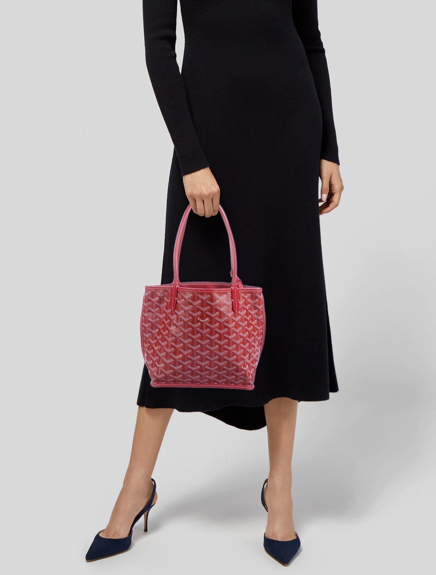 Goyard Anjou Mini - Matching Wallet & Insert Included
