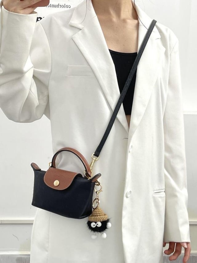Longchamp Mini - Strap & Insert Included